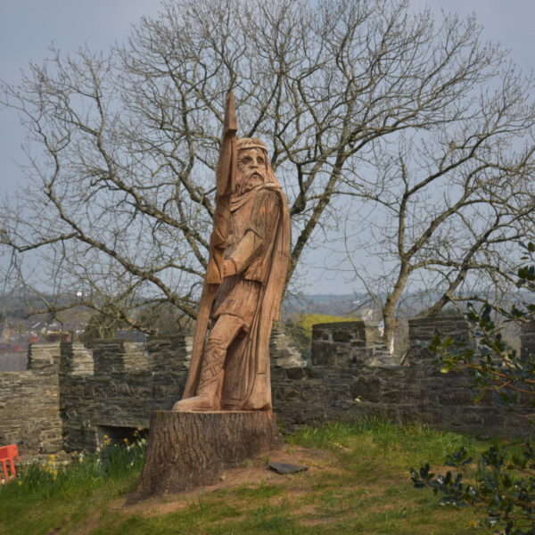 Tocyn Blwyddyn i'r Castell (Oedolyn)  /  Annual Castle Ticket (Adult)