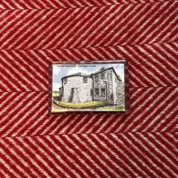 Cardigan Castle Tower Keyring / Cylch Allweddi Tŵr y Castell