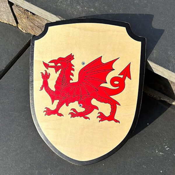Wooden Shield / Tarian Bren