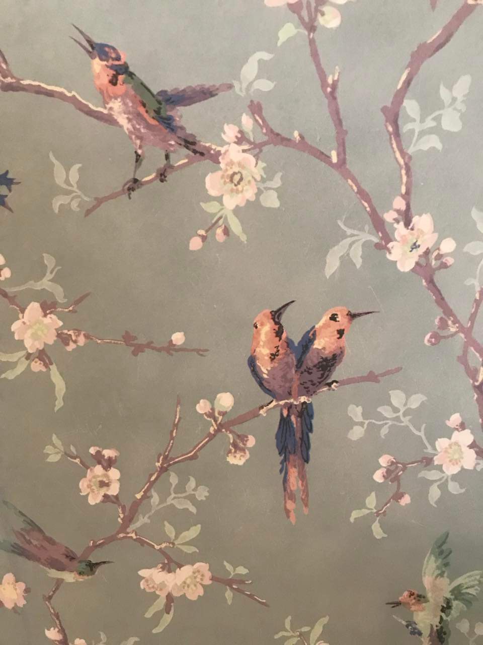 Vintage-inspired wallpaper design featuring birds on blooming branches, perfect for elegant interiors at Cardigan Castle