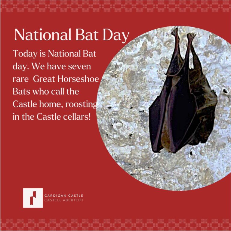 National Bat Day